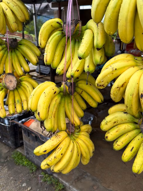 Banana Prata (kg)